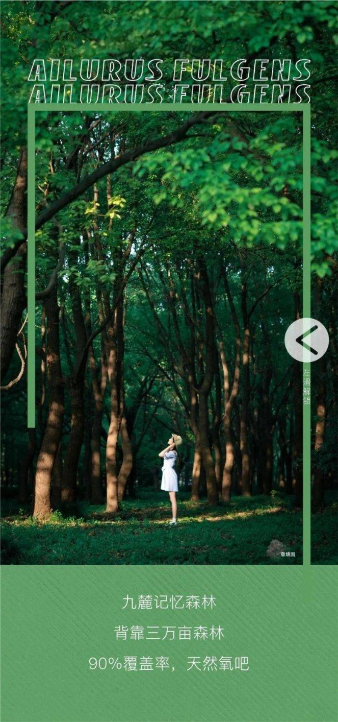 《奔跑吧》在海南的三亚录制，路透中爆出了哪些看点？游戏画面